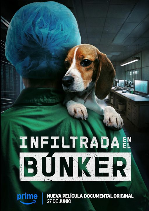 Infiltrada en el búnker
